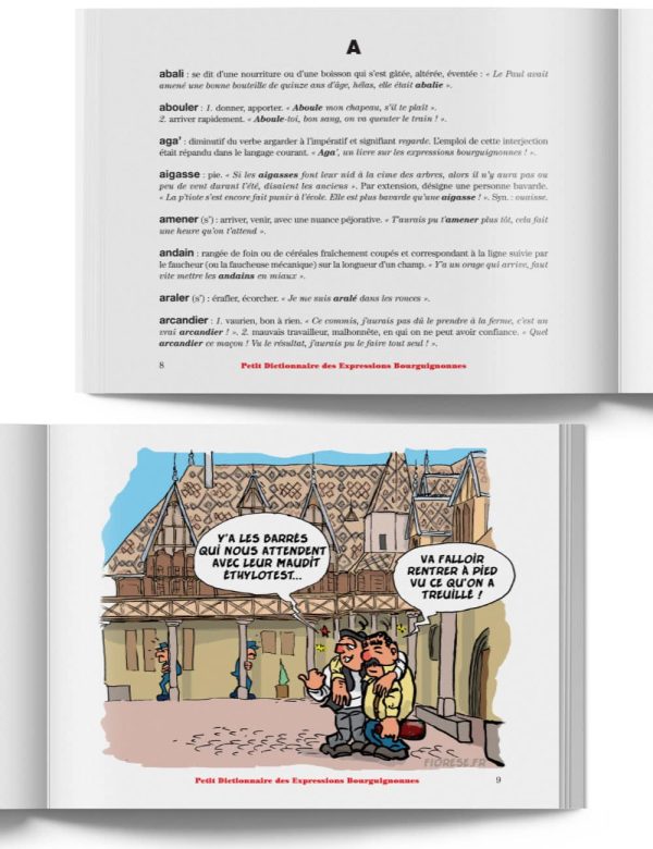 Petit Dictionnaire des Expressions Bourguignonnes – Livre expression de Bourgogne